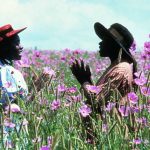 THE COLOR PURPLE Trailer