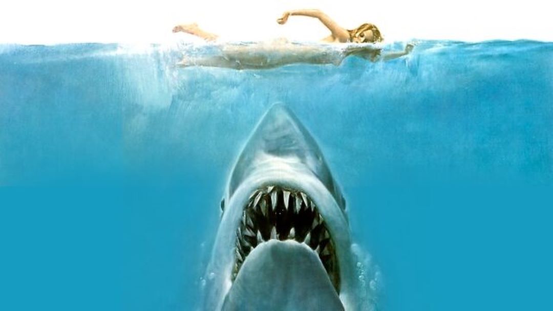 Jaws