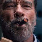 Arnie Is Netflix’s Chief Action Officer