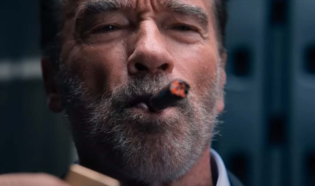 Arnie Is Netflix’s Chief Action Officer