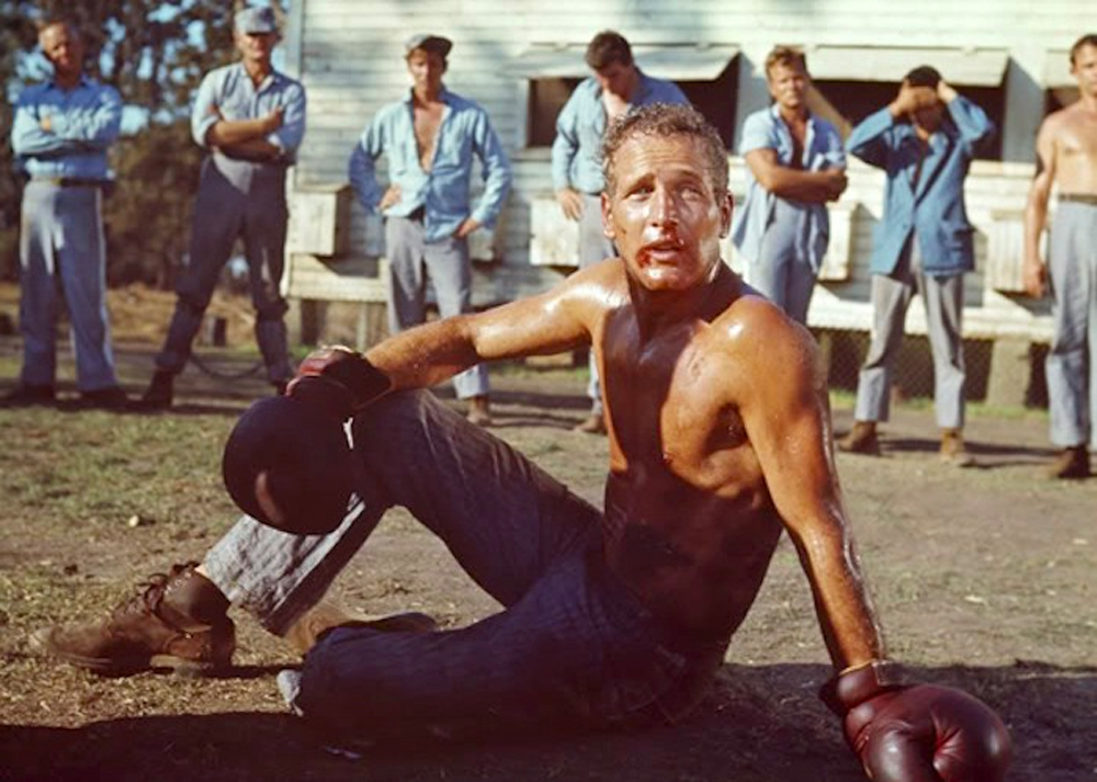 Cool Hand Luke 2