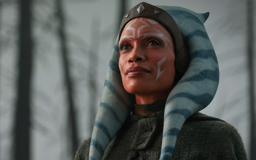 Read more about the article AHSOKA Wins A SOFEE