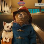 PADDINGTON In Unexpected Direction