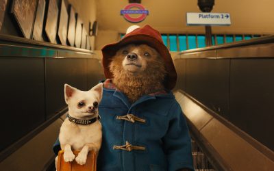 PADDINGTON In Unexpected Direction