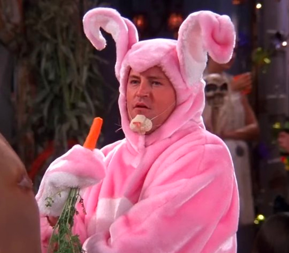 Matthew Perry Bunny