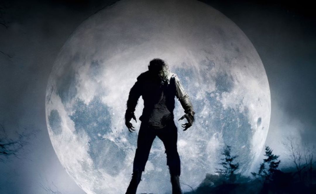 Read more about the article WOLF MAN Teaser Drops