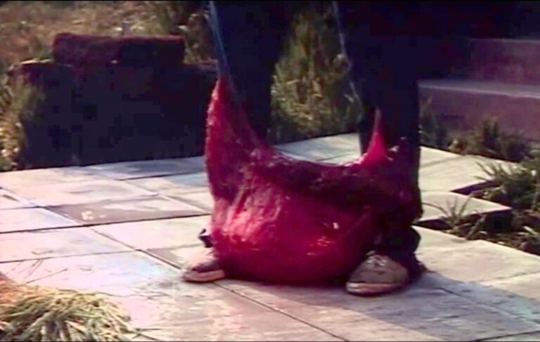 Retro Review: BEWARE THE BLOB (1972) - Last Movie Outpost