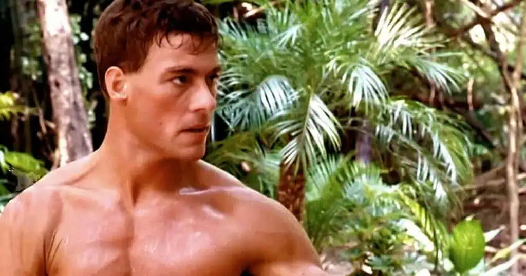 Jcvd