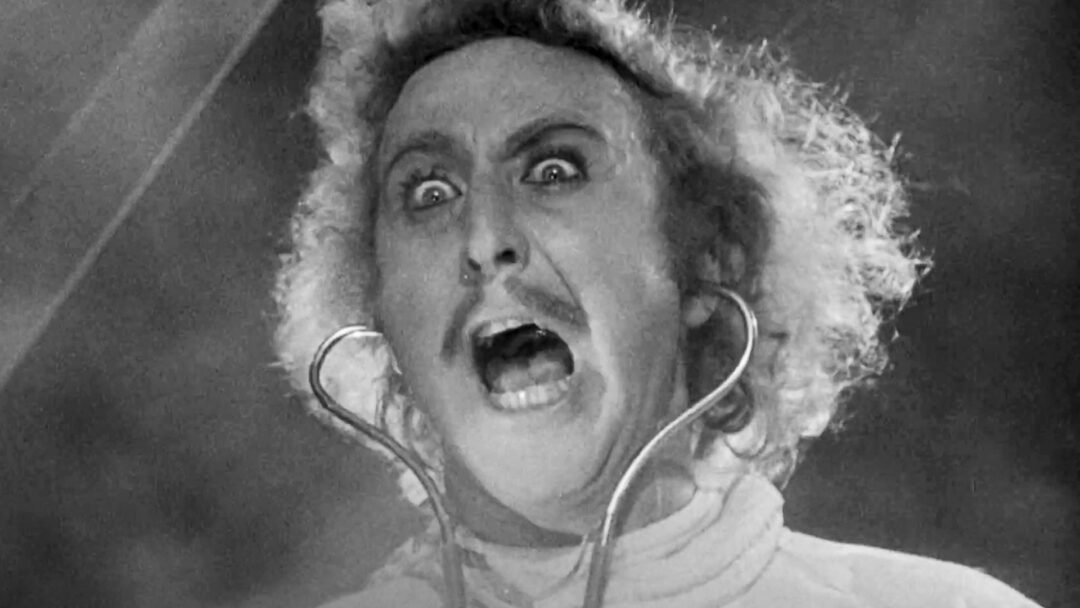 Young-frankenstein