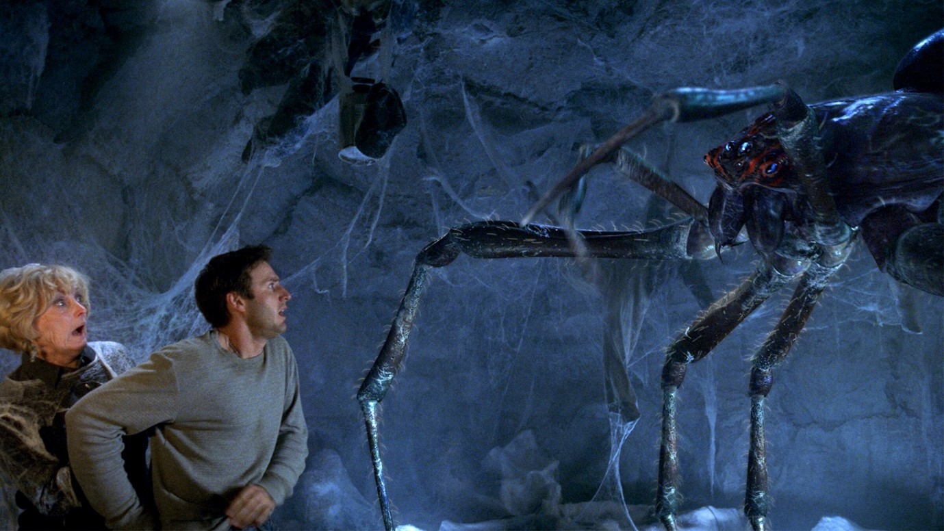 Consuela Orb Weaver spider