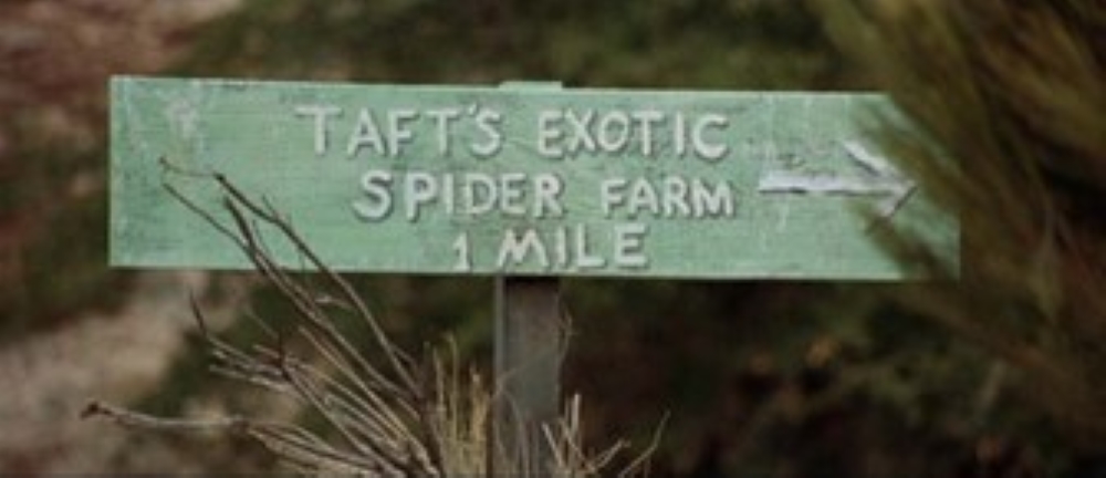 Spider farm sign