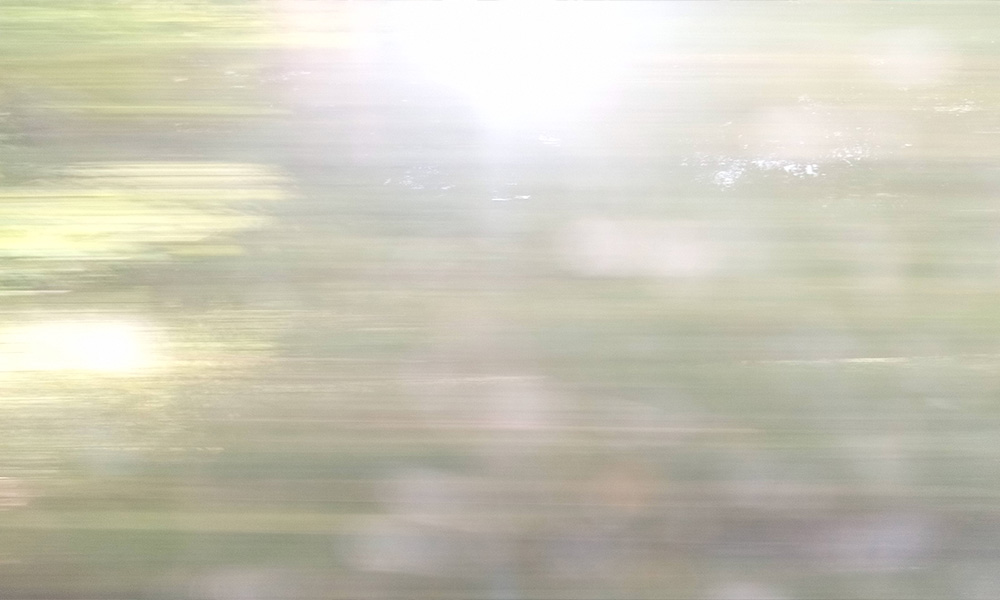 The beautiful British countryside