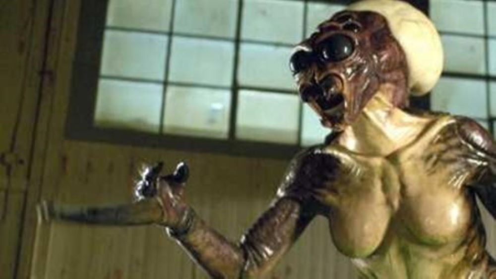 Queen spider with bewbs