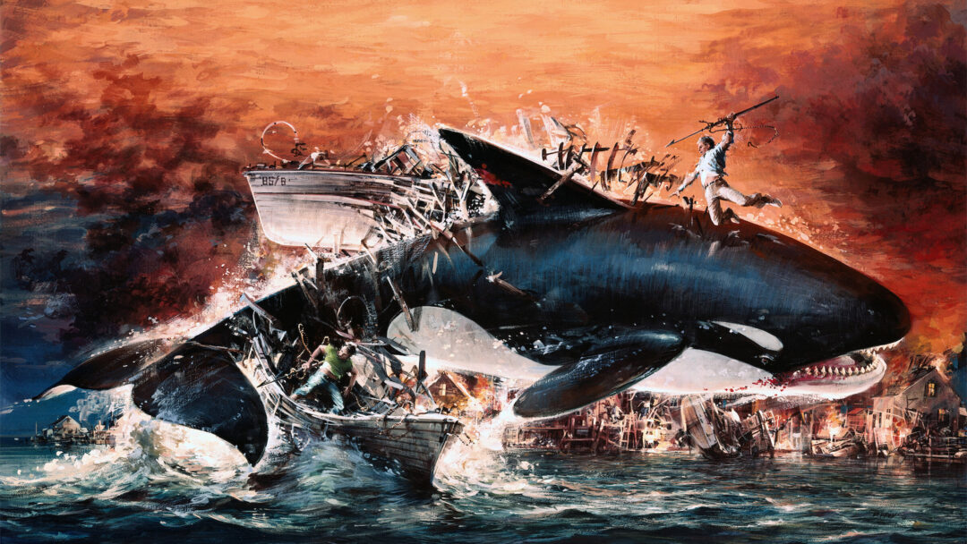 Orca