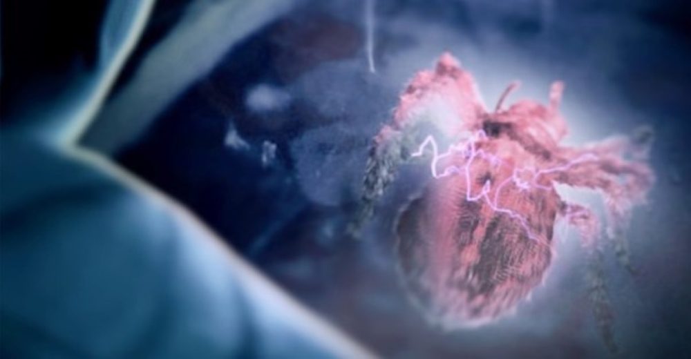 I have the power Arahcnicide