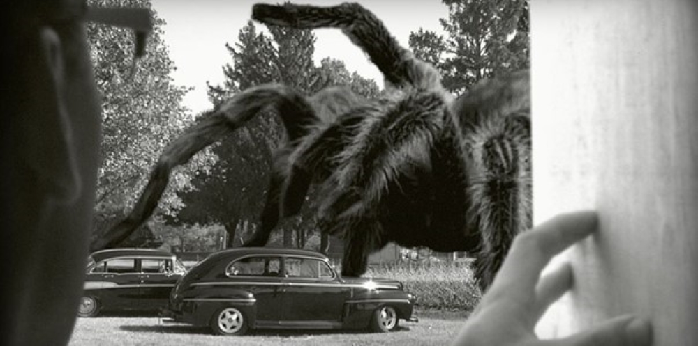 Giant spider on rampage