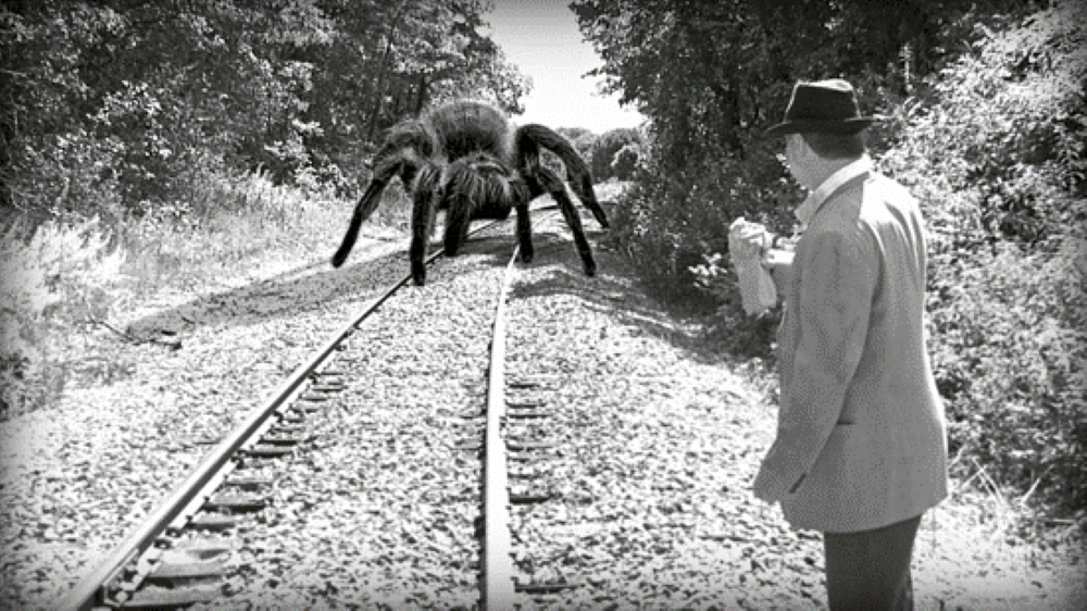 Giant Spider on train tracks