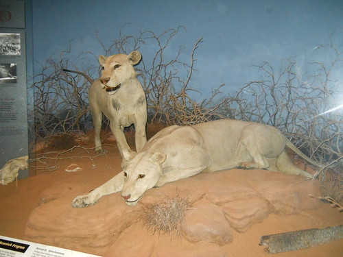 the-ghost-and-the-darkness