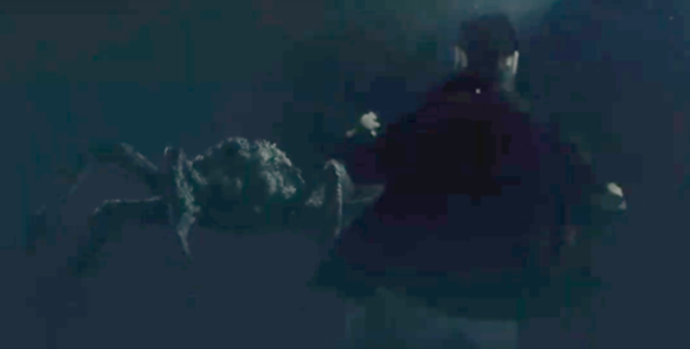 Spider face off in the ocean