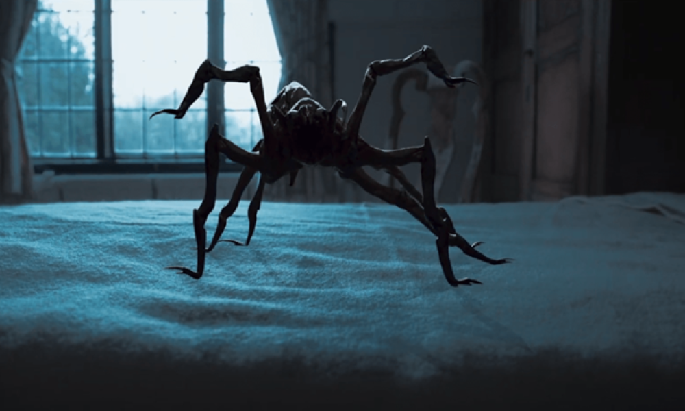 Spider on bed