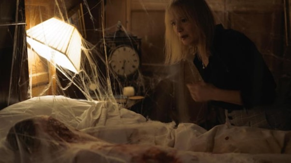 Spider in the attic cover