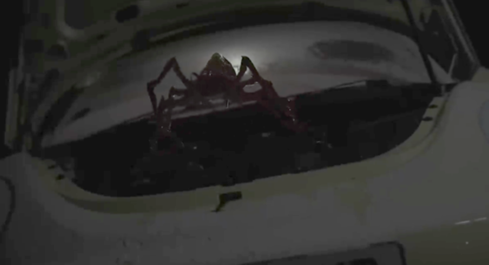 Spider on engine