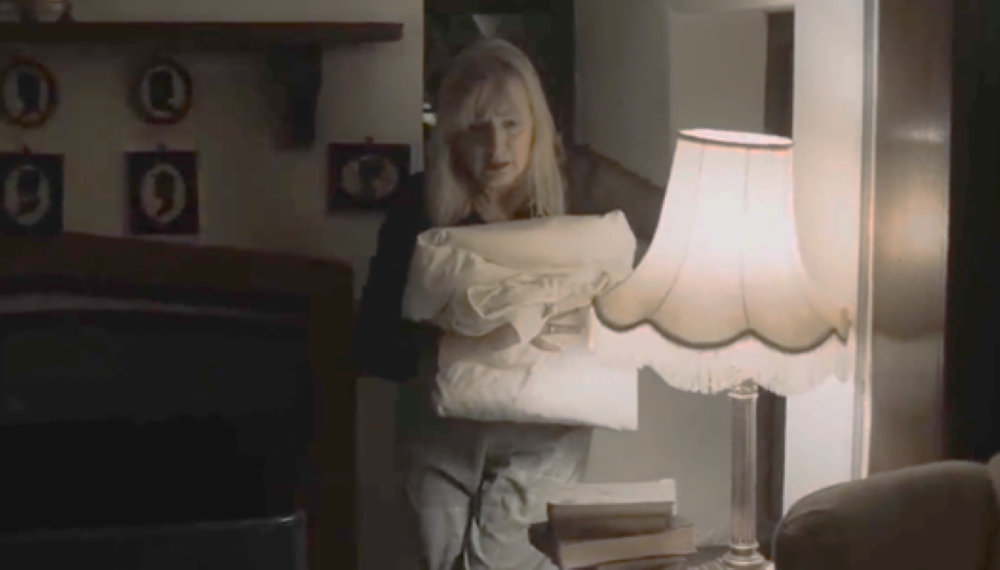 Spider in the attic towels