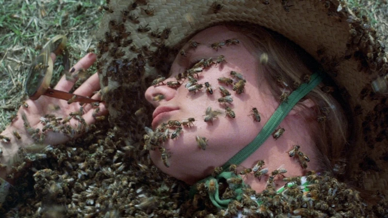 The-Swarm