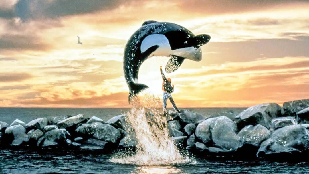 Free-Willy