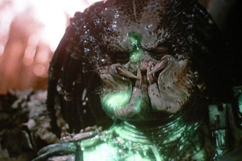 Predator