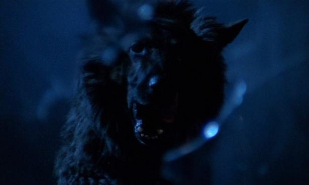 the-beast-must-die